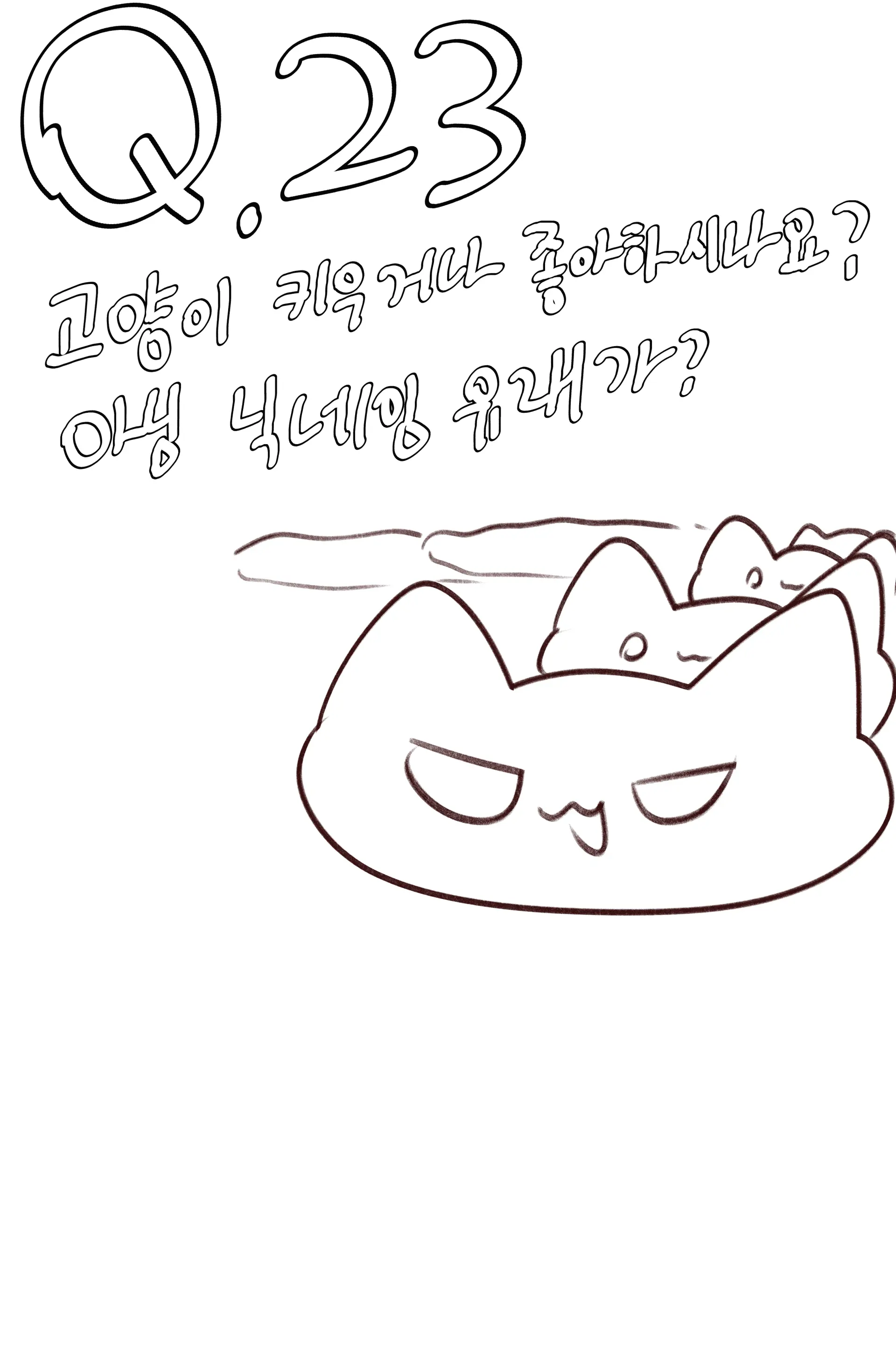 QNA!!!
